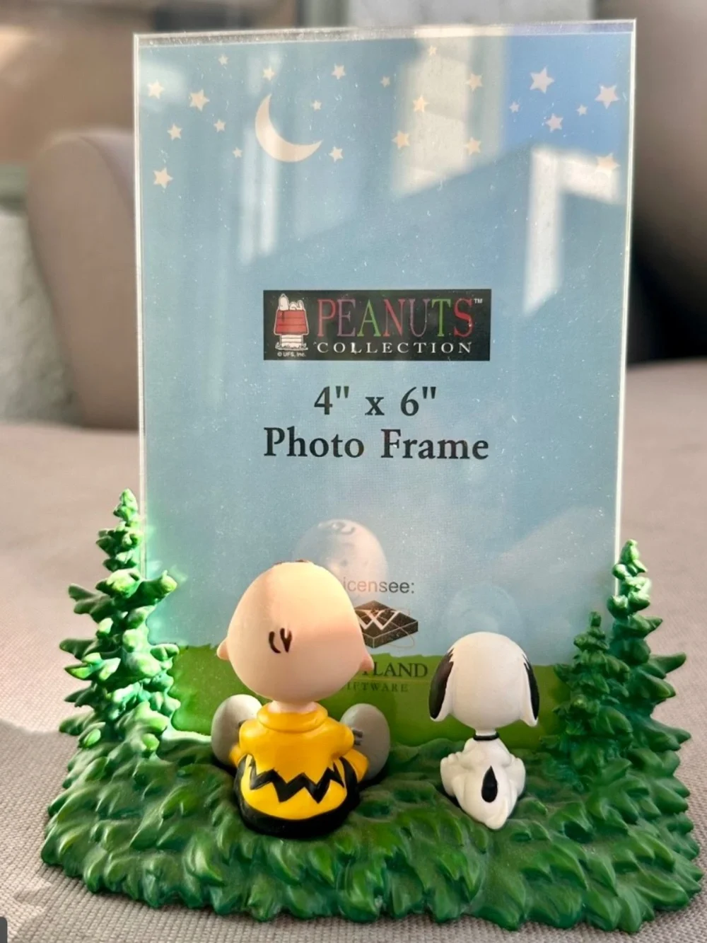 Peanuts Collections Snoopy & Charlie Brown 3D 4x6 Photo Frame